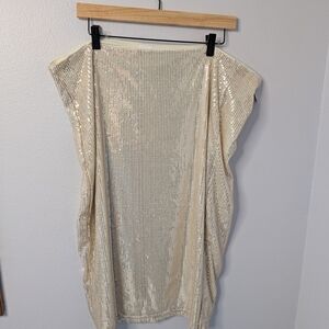 Time and Tru Sequin Midi Skirt | Size XXXL (22), Gold Champagne (Party, Holiday)